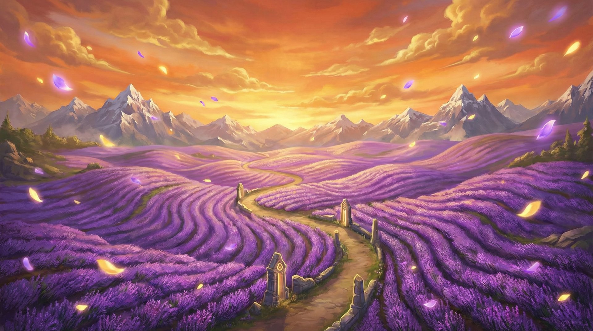 红桃视频薰衣草花海航拍植物视频